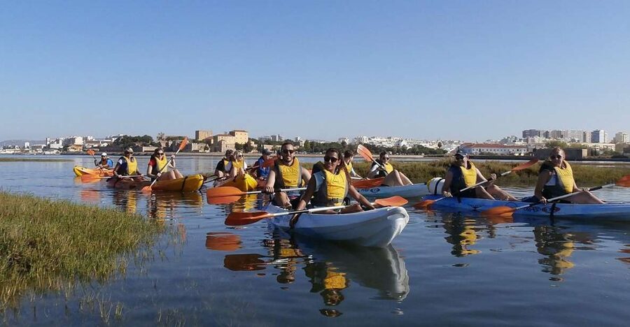 Algarve: 2-Hour Ria Formosa Kayak Tour from Faro - Returning with views of Faro