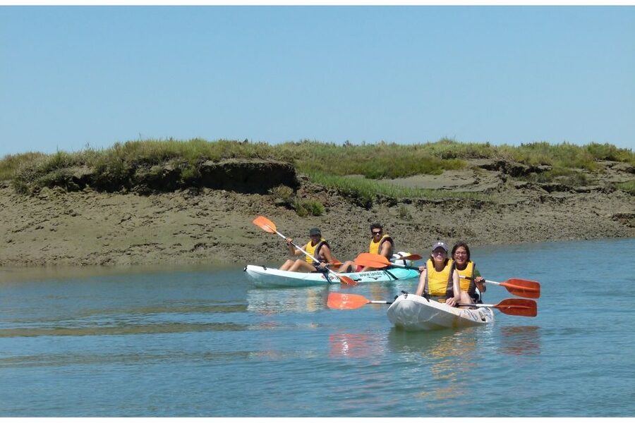 Algarve: 2-Hour Ria Formosa Kayak Tour from Faro - Who will enjoy this Faro kayak tour?