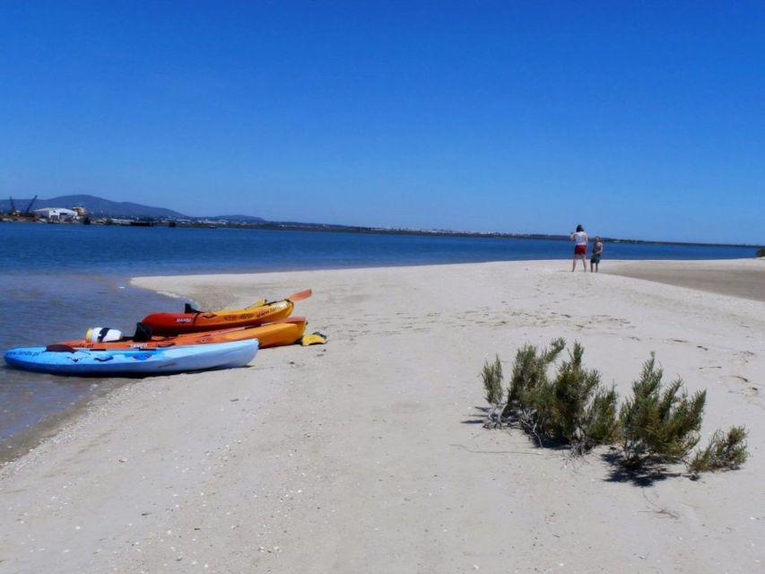Algarve: 2-Hour Ria Formosa Kayak Tour from Faro - Weather, cancellation, and the small-group advantage