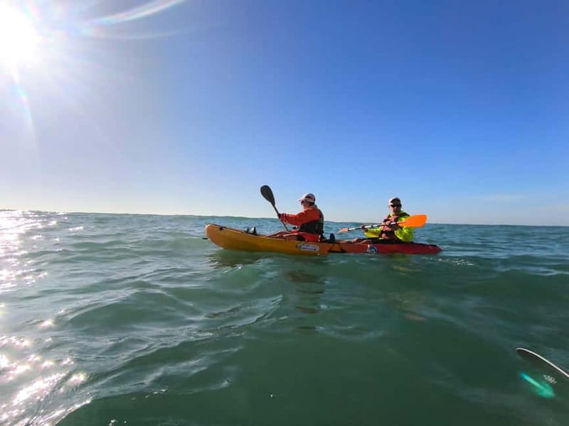 Algarve: Hidden Treasures - Benagil Caves by Kayak - Who should book, and who should skip it