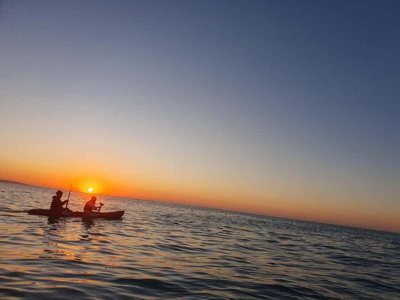 Algarve: Hidden Treasures - Benagil Caves by Kayak - The final paddle back to Albandeira