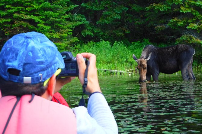 Algonquin Park 3-Day Deluxe Camping & Canoeing Adventure - A lakeside camp with fire skills and a generous dinner