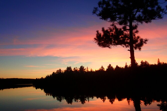 Algonquin Park 3-Day Deluxe Camping & Canoeing Adventure - Day two: beaver ponds, wildlife, and a full day outside