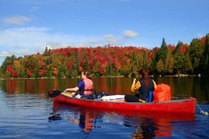 Algonquin Park 4-Day Deluxe Camping & Canoeing Adventure - Key points to know before you book