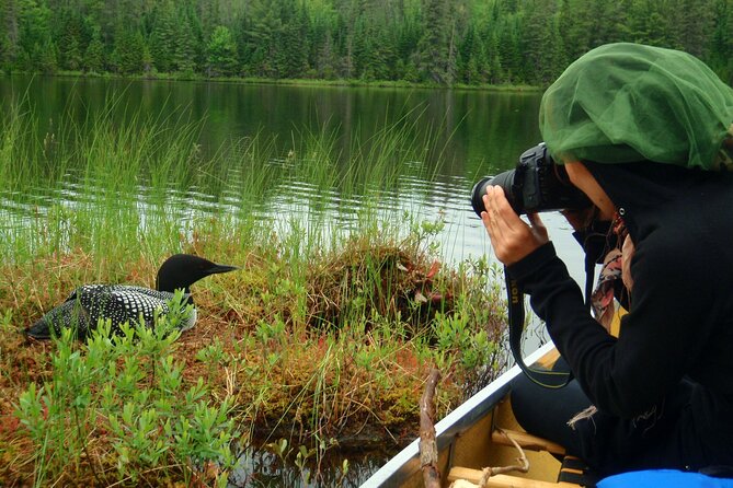 Algonquin Park 4-Day Deluxe Camping & Canoeing Adventure - Day three is the longest day on the water