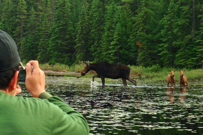 Algonquin Park 4-Day Deluxe Camping & Canoeing Adventure - The sunrise option closes the trip quietly
