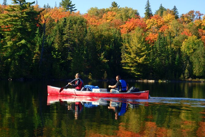 Algonquin Park 4-Day Deluxe Camping & Canoeing Adventure - Day two follows beavers into narrow waterways