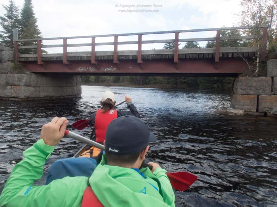 Algonquin Park: Canoe Camping Safari - Booking details that matter