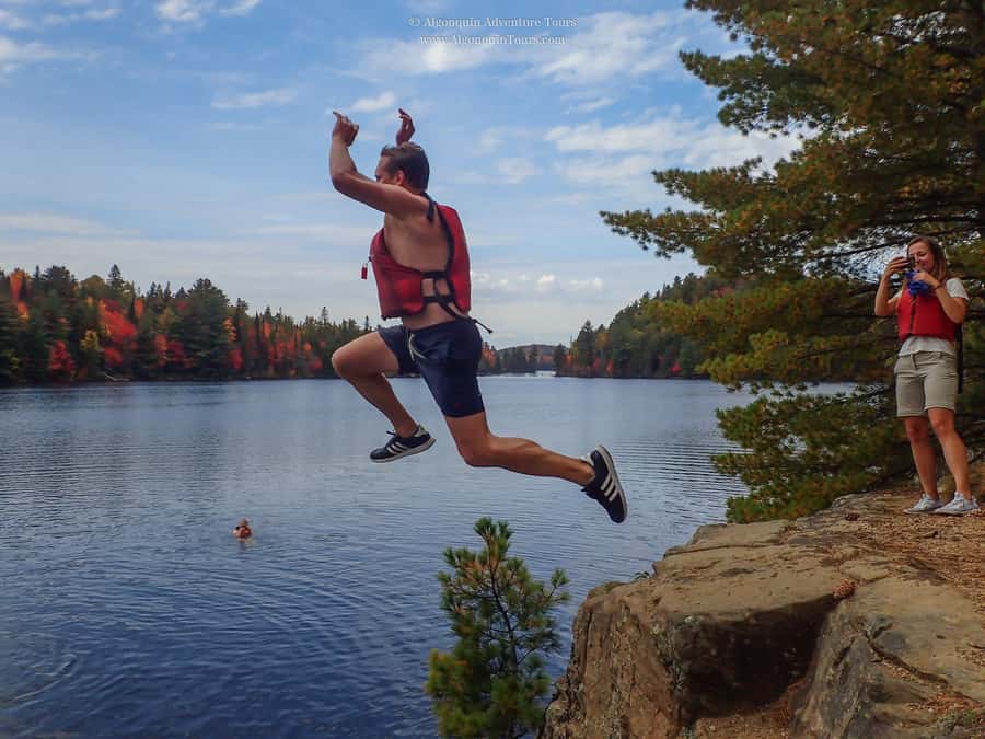 Algonquin Park: Canoe Camping Safari - Moose, fishing, and the patient art of watching