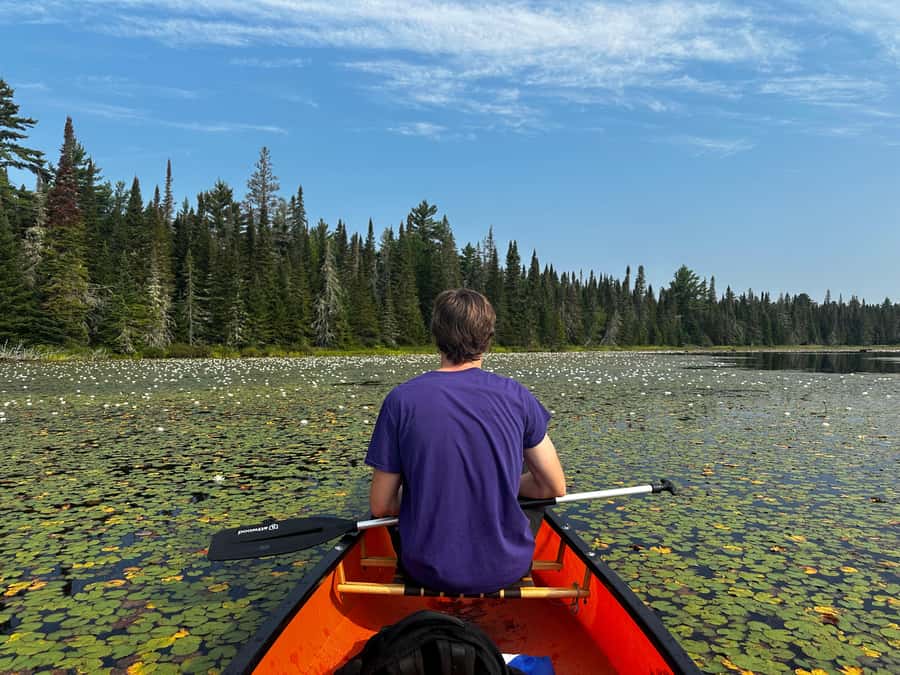 Algonquin Park: Deluxe 4-Day/3-night Canoeing/Camping - Day four: A final paddle and an easy return to regular life
