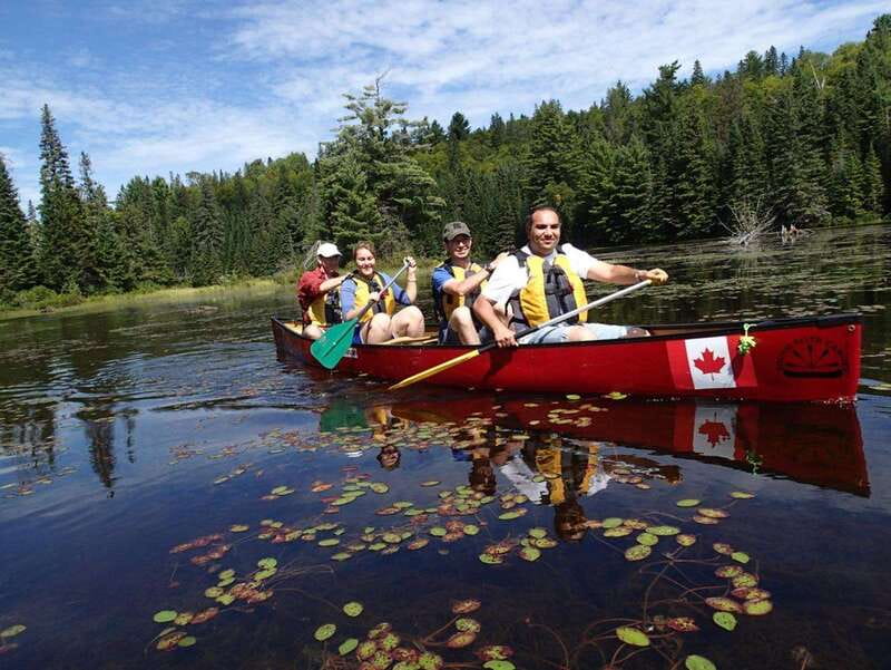 Algonquin Park: Guided Canoe Day Tour - Key points to know before you go