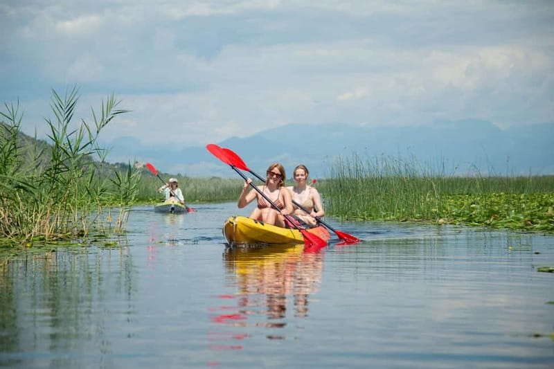All Day Self-Kayaking to secret spots and wildlife observing - White lilies and the best wildlife moments