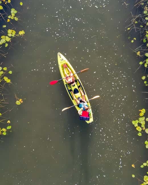 All Day Self-Kayaking to secret spots and wildlife observing - What the $20 price really includes