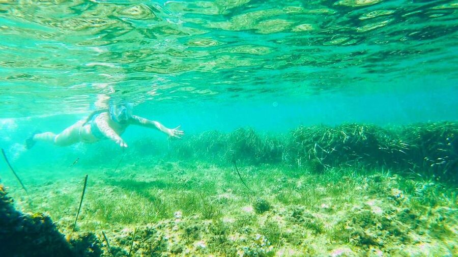 Altea: Guided Kayak Tour - The $57 price and what you receive