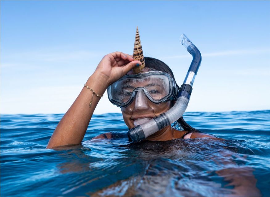 Altea: Morro de Toix Guided Kayak Excursion - A quiet cove for snorkeling and a rest
