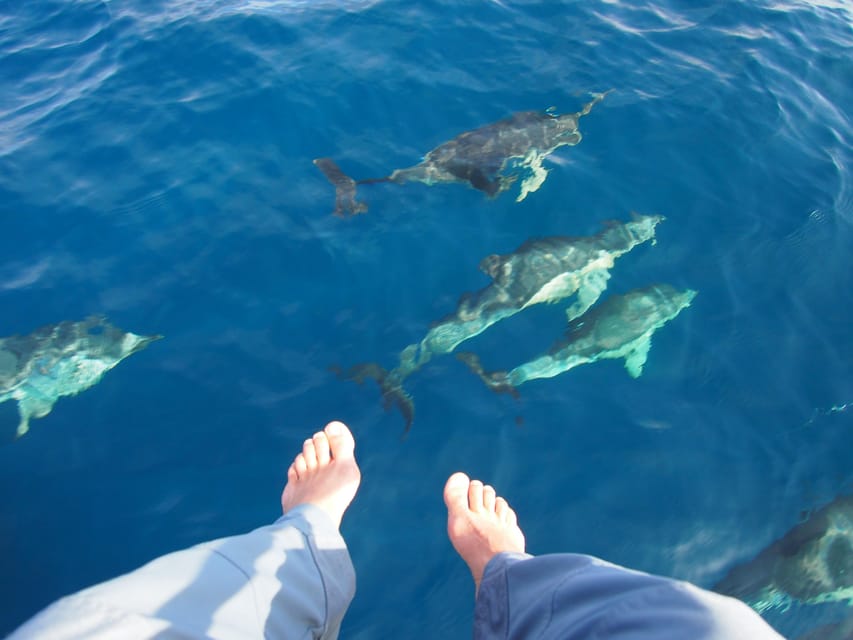 Always private 4 hour - Sail- dolphin Yacht Charter-paddle - A good setting for proposals and celebrations