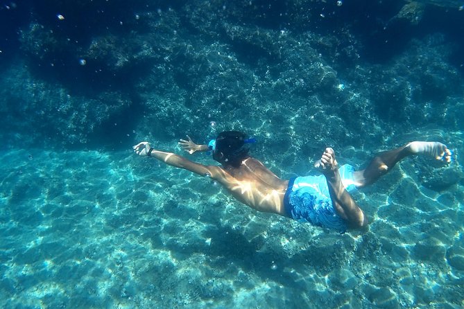 Amalfi Coast Kayak Tours from Marina del Cantone - Key points at a glance