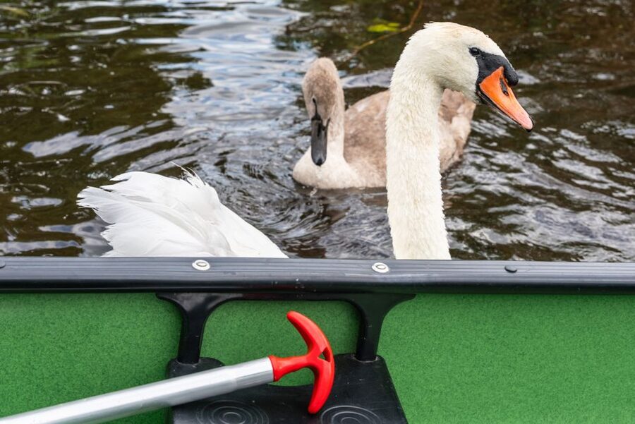Amsterdam: 2-Hour Guided Canoe Trip - Weather, clothing, and practical comfort