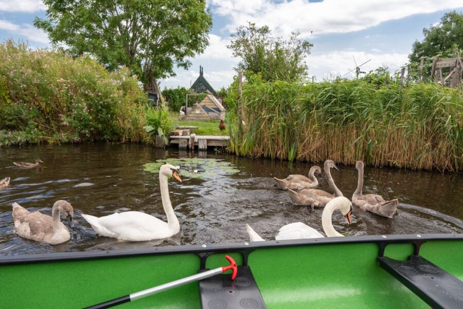 Amsterdam 5-Hour Guided Canoe Trip in the Wetlands - What $105 includes
