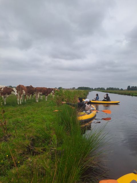 Amsterdam: Countryside Bike and Kayak Guided Tour - Key points to know before booking