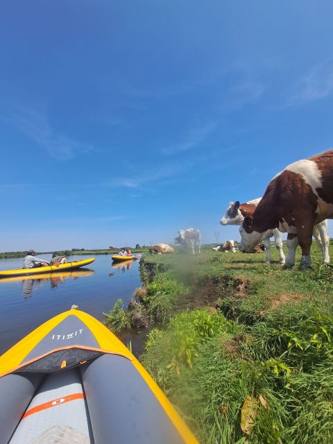 Amsterdam: Countryside Bike and Kayak Guided Tour - Booking details worth keeping in mind