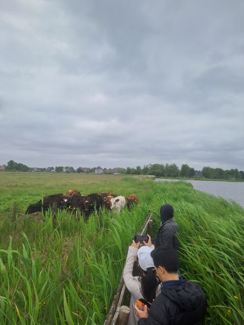 Amsterdam: Countryside Bike and Kayak Guided Tour - Why this tour makes a good break from central Amsterdam