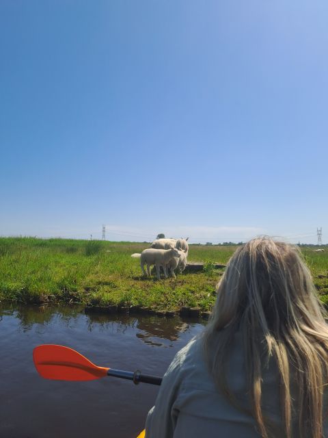 Amsterdam: Countryside Bike and Kayak Guided Tour - d’Admiraal Windmill and a little Dutch history