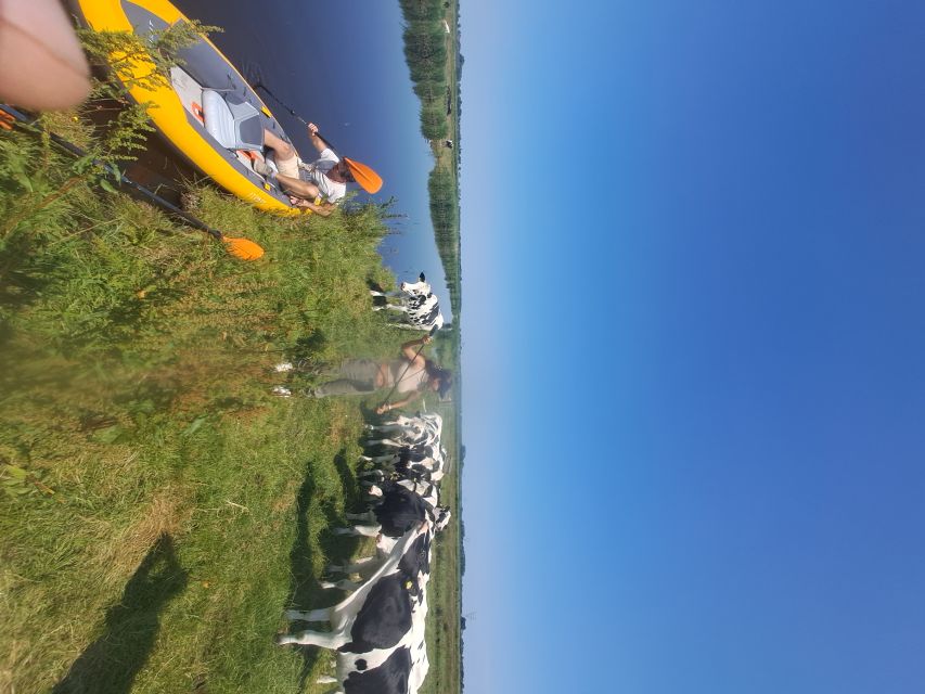 Amsterdam: Countryside Bike and Kayak Guided Tour - The return ride through Amsterdam-Noord
