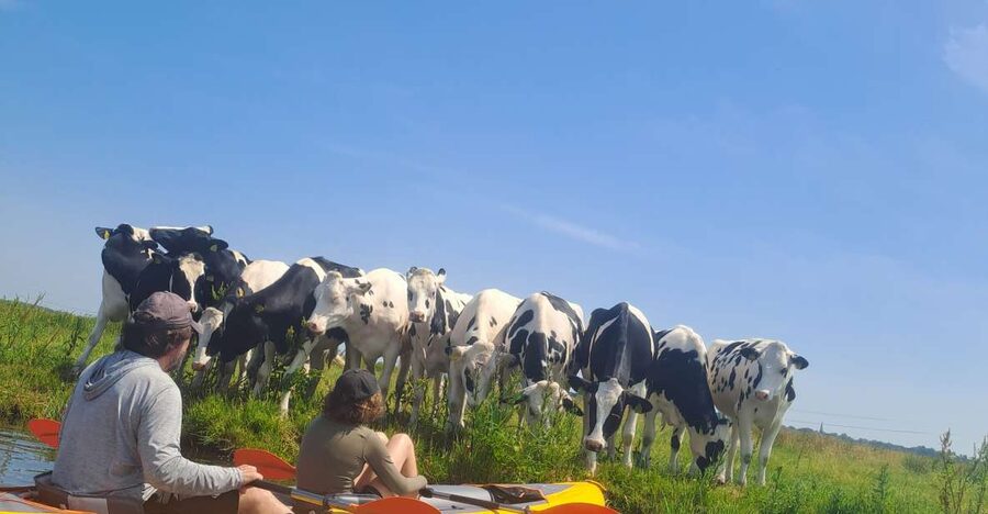 Amsterdam: Countryside Bike and Kayak Guided Tour - Cycling from A’DAM Lookout to the countryside