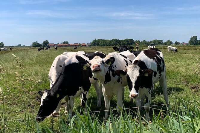 Amsterdam Countryside Bike and Kayak Tour - A church lunch stop in the Waterland villages