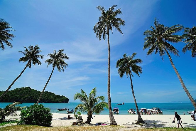 Angthong National Marine Park by Speed Boat with Snorkeling & Kayaking - Koh Wao snorkeling, about 45 minutes in the water