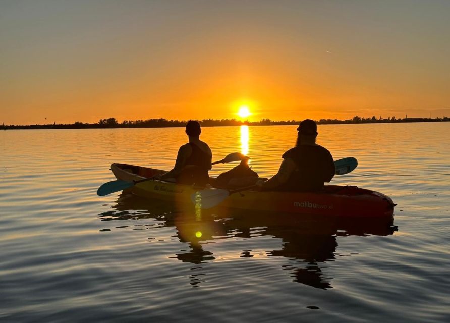 Anna Maria Island and Bradenton: Sunset Kayak Dolphin Tour - Should you book the sunset dolphin kayak tour?