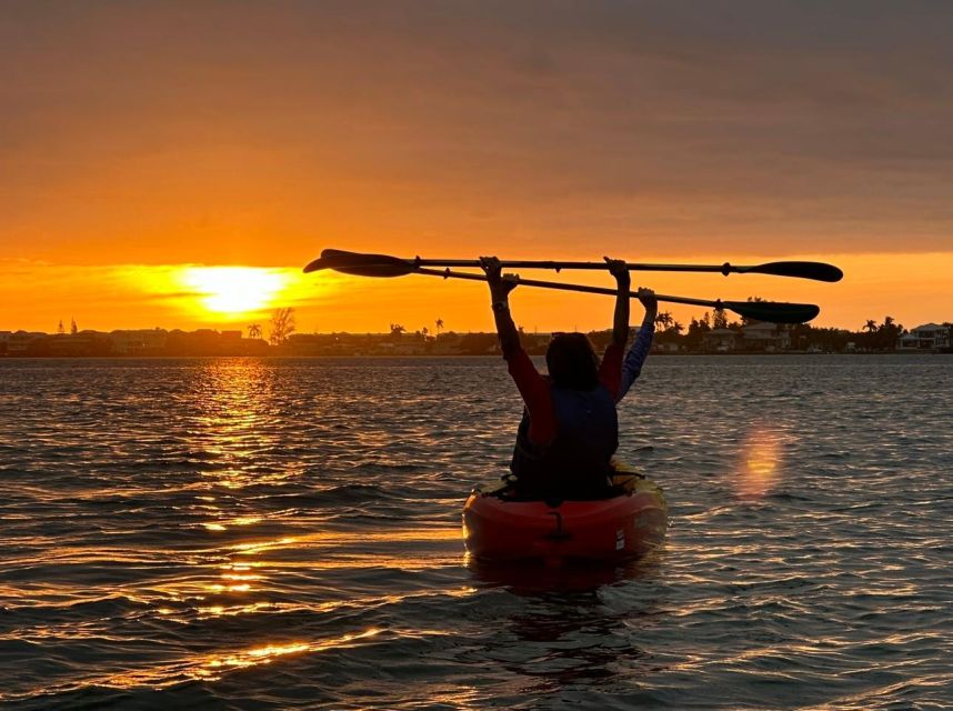 Anna Maria Island and Bradenton: Sunset Kayak Dolphin Tour - Birds, manatees, and the wildlife beyond dolphins