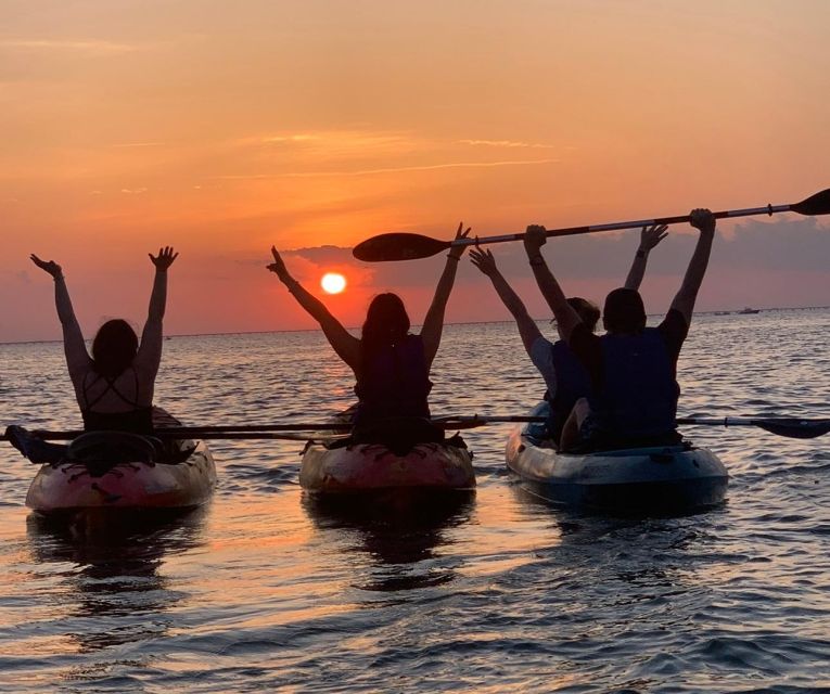Anna Maria Island and Bradenton: Sunset Kayak Dolphin Tour - How much value do you get for $60?