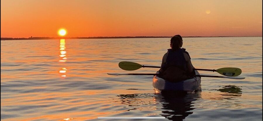 Anna Maria Island and Bradenton: Sunset Kayak Dolphin Tour - Who will enjoy this tour most?