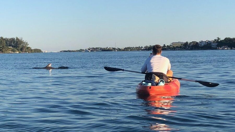 Anna Maria Island: The Island Kayak Tour - Who Will Enjoy This Most