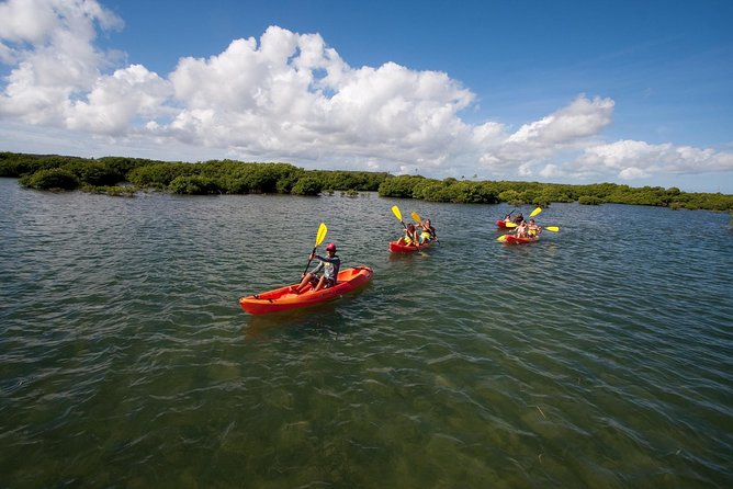 Antigua Zipline & Kayaking Combo From St. John's - From St. John’s to Antigua’s rainforest