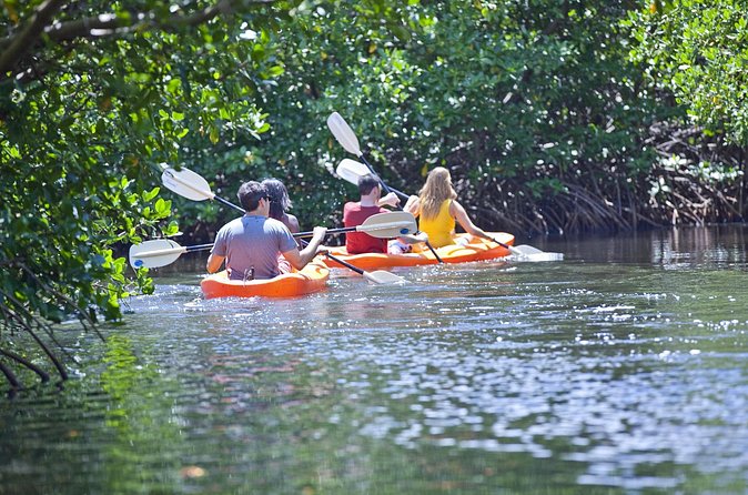 Antigua Zipline & Kayaking Combo From St. John's - Kayaking through the mangroves