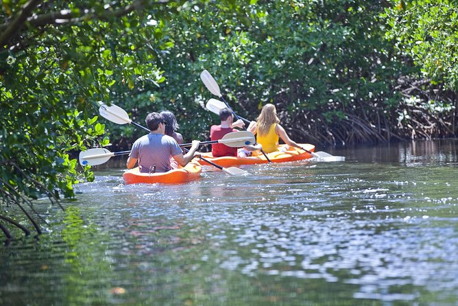 Antigua Zipline & Kayaking Combo From St. John's - Who will enjoy this Antigua combo most?