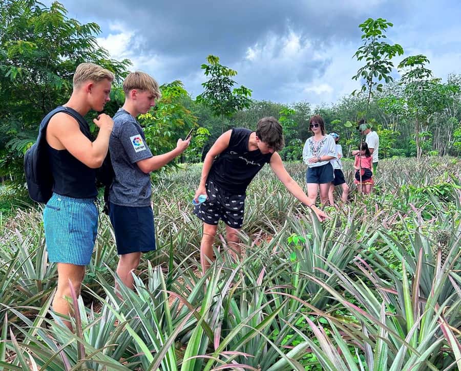 Ao Nang: Crystal Pool Kayaking, ATV, and Pineapple Farm Tour - Fruit, drinks, and the pineapple stop