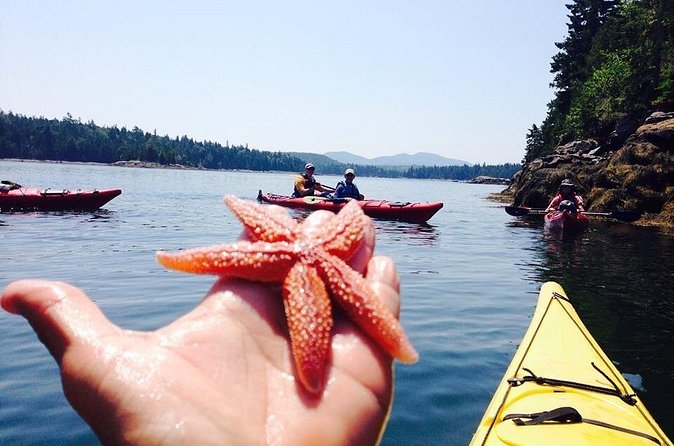 Aqua Safari Kayak tour departing Southwest Harbor - Three possible water settings around Acadia