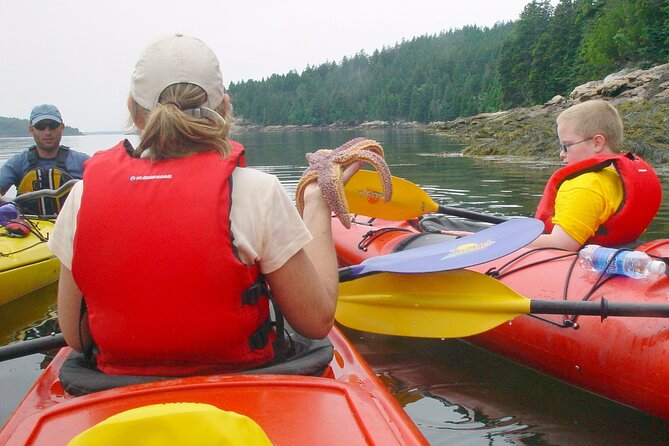 Aqua Safari Kayak tour departing Southwest Harbor - Wildlife viewing and local ecology are central to the outing