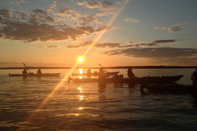 Aqua Safari Kayak tour departing Southwest Harbor - What the $191 price means