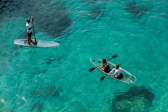 Arrábida: Guided Transparent Kayaking Tour - Starting at Praia do Creiro