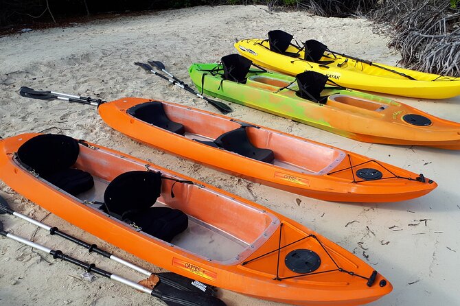 Aruba Glass Bottom Kayak Tour through the Mangrove Forest - Mangel Halto brings the tour back to its best setting
