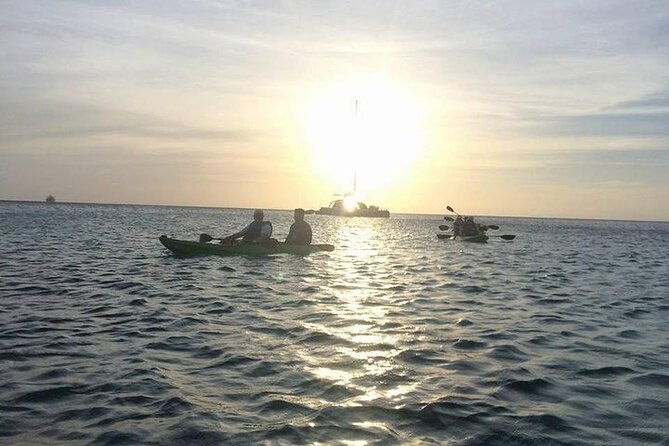 Aruba Glass Bottom Kayak Tour through the Mangrove Forest - The guides make a real difference