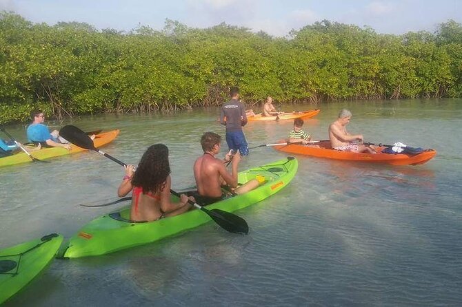 Aruba Glass Bottom Kayak Tour through the Mangrove Forest - Isla di Oro depends on the day