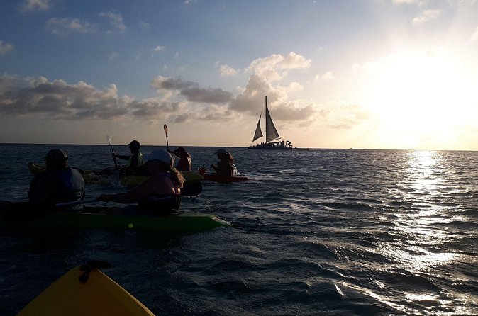 Aruba Night Glass Kayak Tour - What the two-hour route feels like