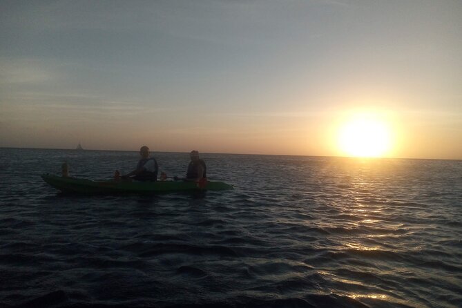 Aruba Night Glass Kayak Tour - Who will enjoy this most