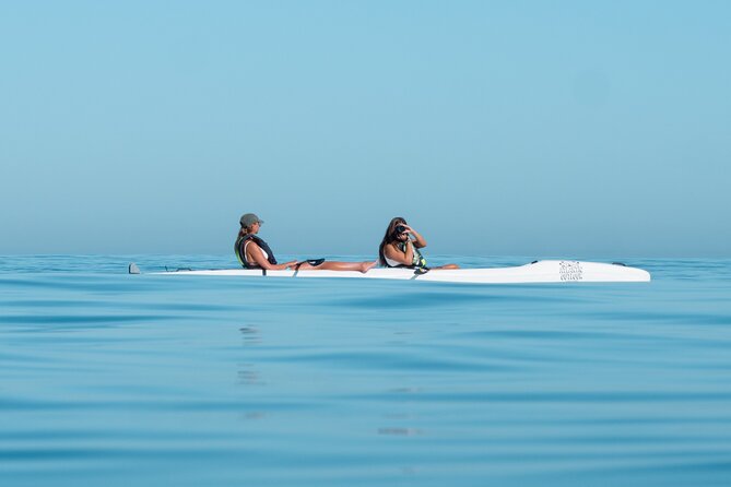 Atlantic Outlook Kayak Tour Cape Town - Why the guides matter for beginners
